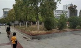 罗山网友最新爆料,揭秘神秘事件背后的惊人真相！