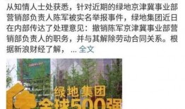 绿地史睿生最新爆料,揭秘绿地集团发展背后的故事